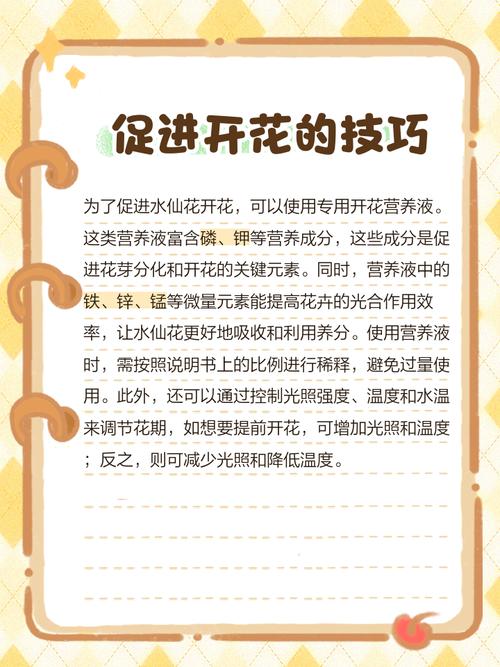 水仙花水培需要放什么肥-第2张图片-吾爱花网 水仙花水培需要放什么肥-第2张图片-吾爱花网