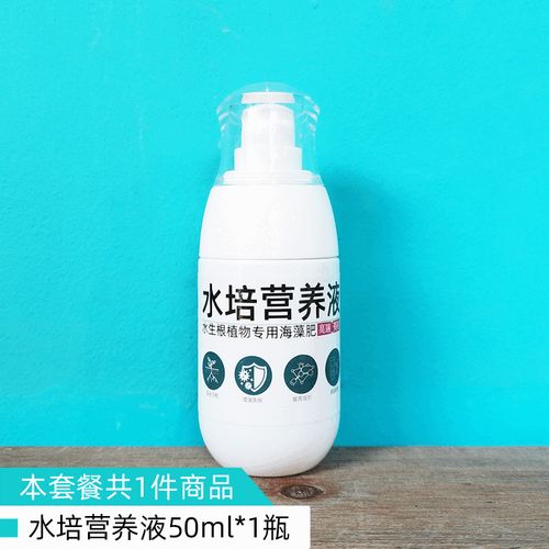 铜钱草水培营养液怎么配?-第1张图片-吾爱花网 铜钱草水培营养液怎么配?-第1张图片-吾爱花网