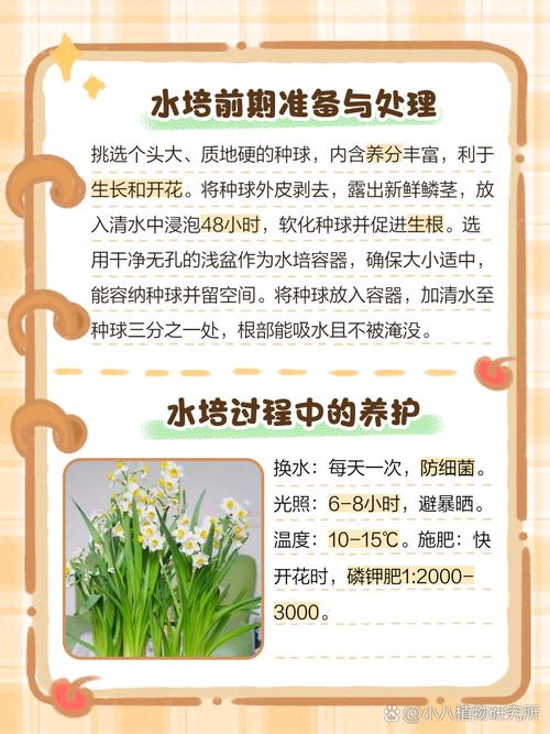 水培植物怎么养?注意事项有哪些?-第2张图片-吾爱花网 水培植物怎么养?注意事项有哪些?-第2张图片-吾爱花网