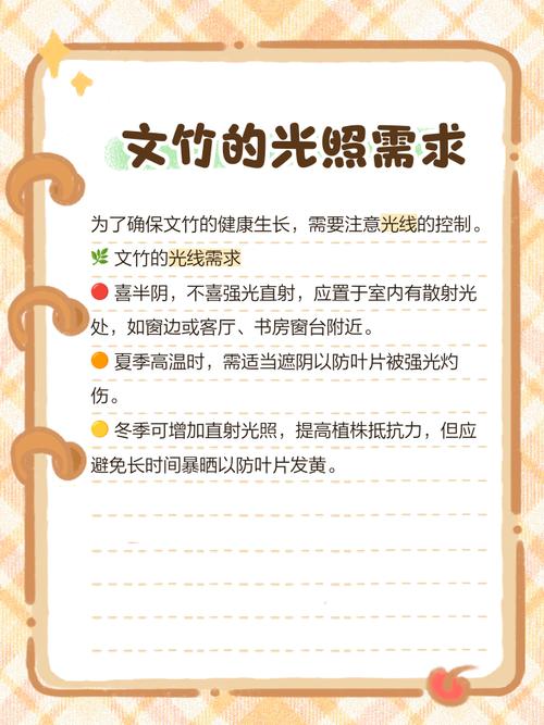 水培文竹加营养液吗?-第2张图片-吾爱花网 水培文竹加营养液吗?-第2张图片-吾爱花网