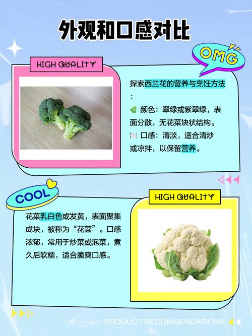 土培与水培西兰花的区别-第2张图片-吾爱花网 土培与水培西兰花的区别-第2张图片-吾爱花网