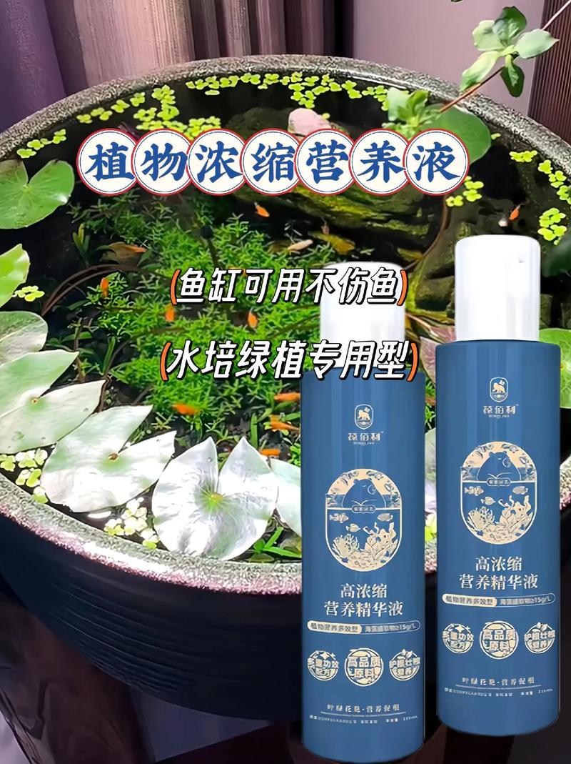 水培王营养液能直接浇土培花吗？-第3张图片-吾爱花网