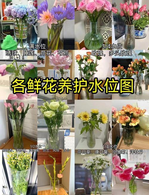 花土培转水培,关键要注意啥?-第1张图片-吾爱花网 花土培转水培,关键要注意啥?-第1张图片-吾爱花网