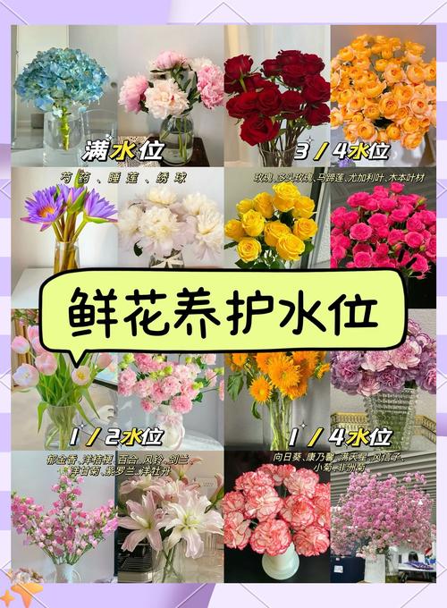 花土培转水培,关键要注意啥?-第3张图片-吾爱花网 花土培转水培,关键要注意啥?-第3张图片-吾爱花网