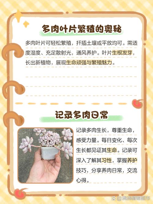 多肉叶子多久才会发芽-第1张图片-吾爱花网 多肉叶子多久才会发芽-第1张图片-吾爱花网