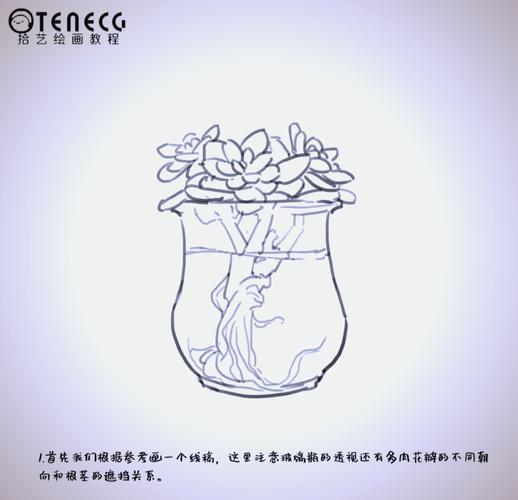 多肉植物也可以水培吗-第1张图片-吾爱花网 多肉植物也可以水培吗-第1张图片-吾爱花网