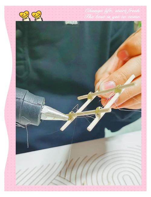 多肉植物也可以水培吗-第3张图片-吾爱花网