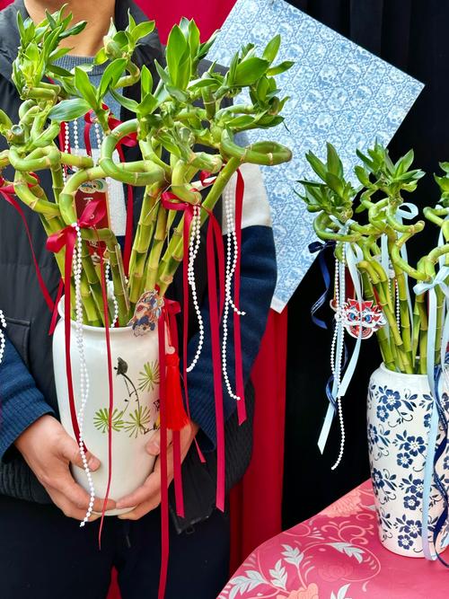 水培转运竹黄杆了怎么办?-第2张图片-吾爱花网 水培转运竹黄杆了怎么办?-第2张图片-吾爱花网