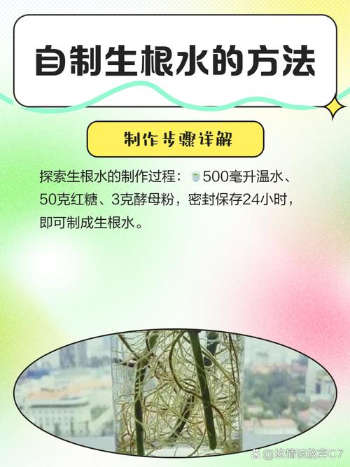 水培营养液自己怎么做?比例多少合适?-第1张图片-吾爱花网 水培营养液自己怎么做?比例多少合适?-第1张图片-吾爱花网