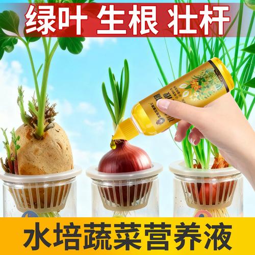 水培营养液自己怎么做?比例多少合适?-第2张图片-吾爱花网 水培营养液自己怎么做?比例多少合适?-第2张图片-吾爱花网