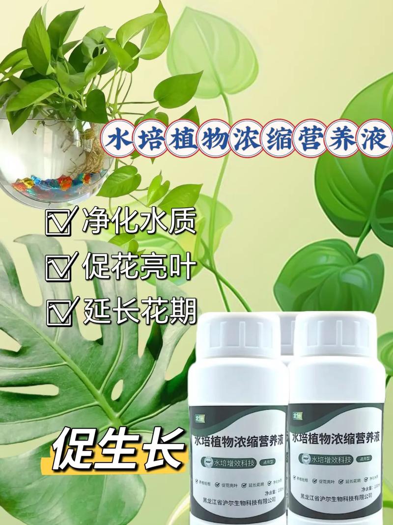 水培营养液自己怎么做?比例多少合适?-第3张图片-吾爱花网 水培营养液自己怎么做?比例多少合适?-第3张图片-吾爱花网