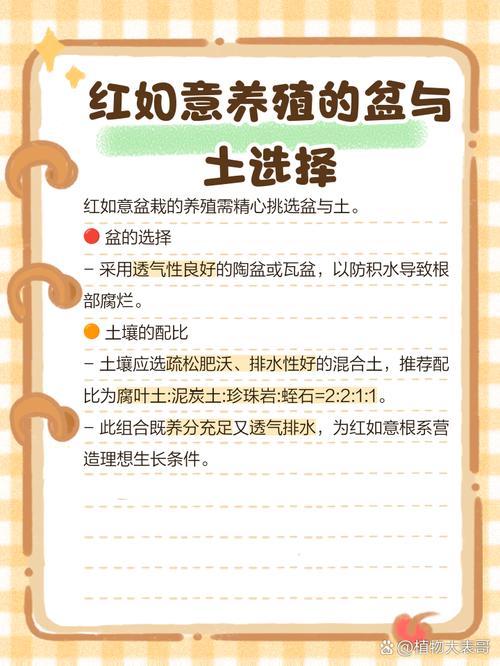 红如意水培叶子为何变深红？-第2张图片-吾爱花网