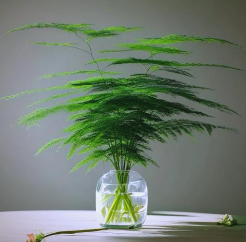 可室内长期养的水培植物-第2张图片-吾爱花网 可室内长期养的水培植物-第2张图片-吾爱花网