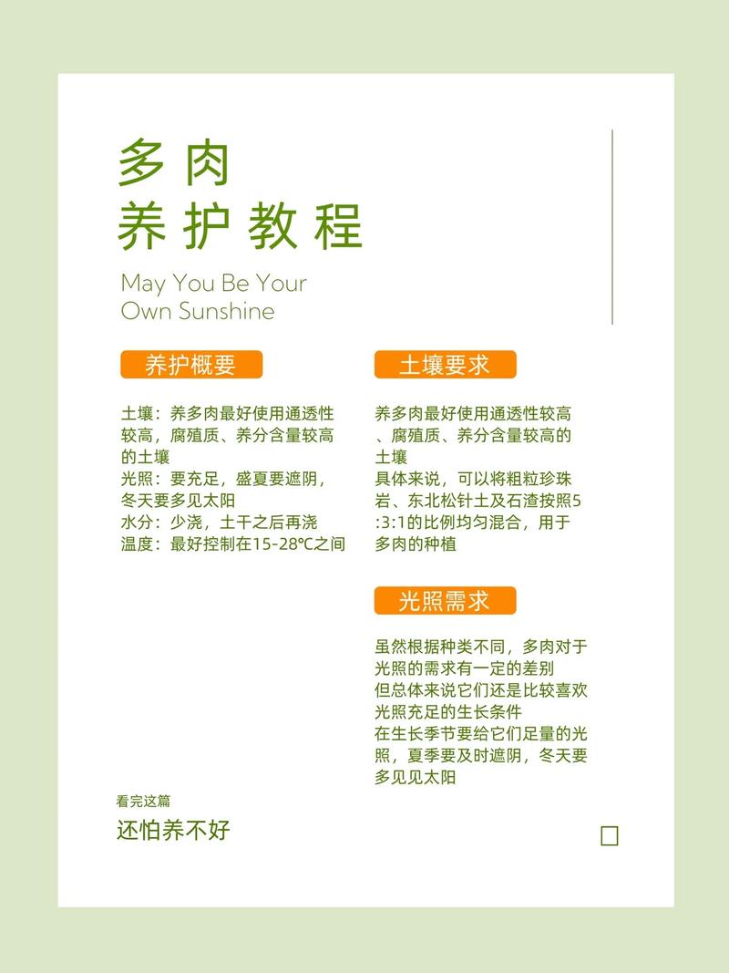 多肉老桩冬天养护关键点是什么？-第3张图片-吾爱花网