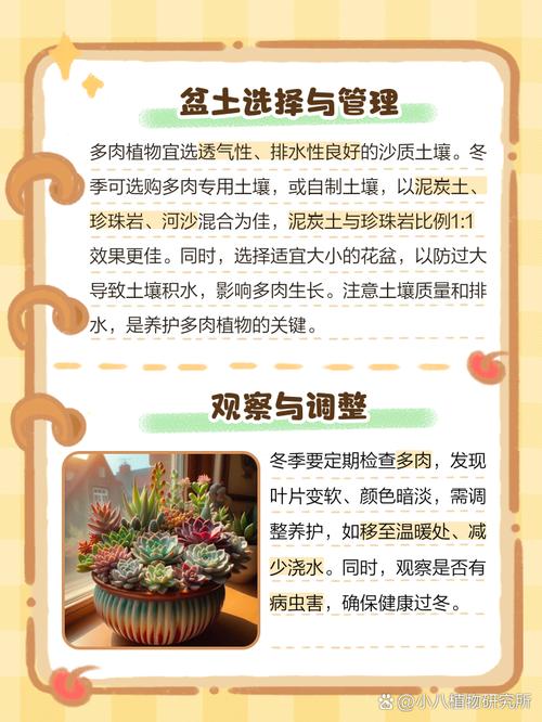 冬天多肉必须搬回室内吗?-第1张图片-吾爱花网 冬天多肉必须搬回室内吗?-第1张图片-吾爱花网