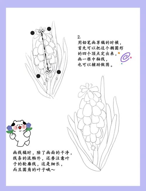 水培风信子花瓶怎么制作?-第3张图片-吾爱花网 水培风信子花瓶怎么制作?-第3张图片-吾爱花网