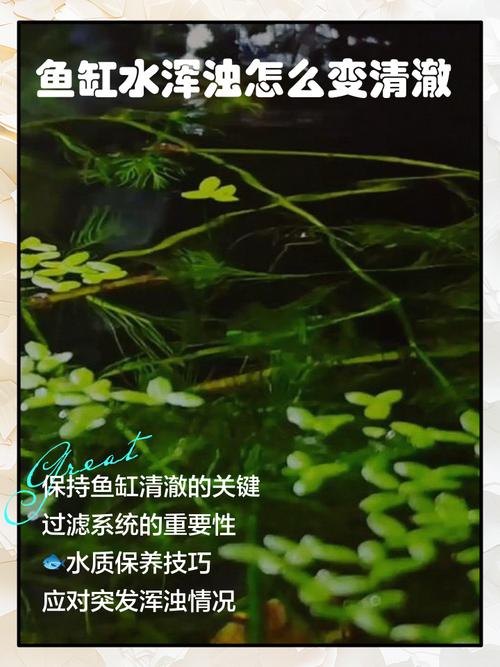 水培水发浑浊是何原因？-第2张图片-吾爱花网