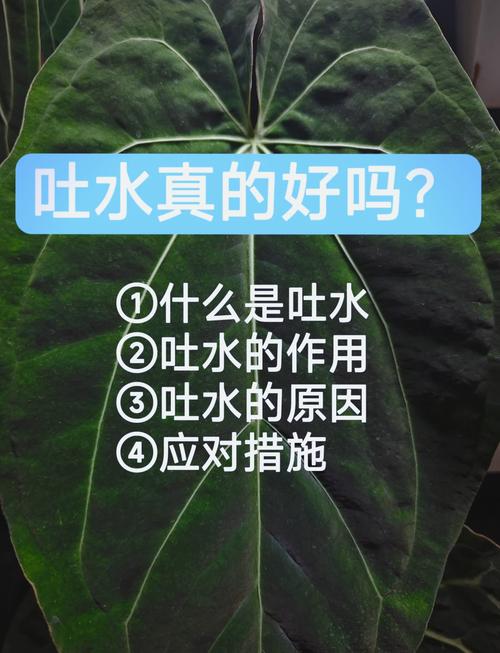 水培水发浑浊是何原因？-第3张图片-吾爱花网