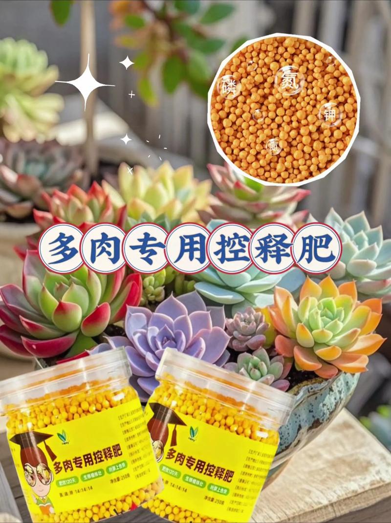 多肉植物适合用哪种肥料?-第1张图片-吾爱花网 多肉植物适合用哪种肥料?-第1张图片-吾爱花网