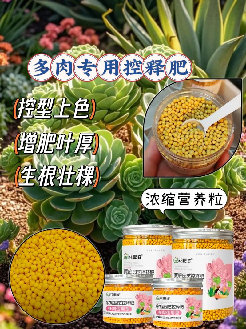 多肉植物适合用哪种肥料?-第2张图片-吾爱花网 多肉植物适合用哪种肥料?-第2张图片-吾爱花网