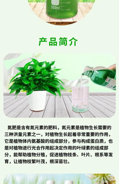 水培植物用什么肥料合适？-第1张图片-吾爱花网
