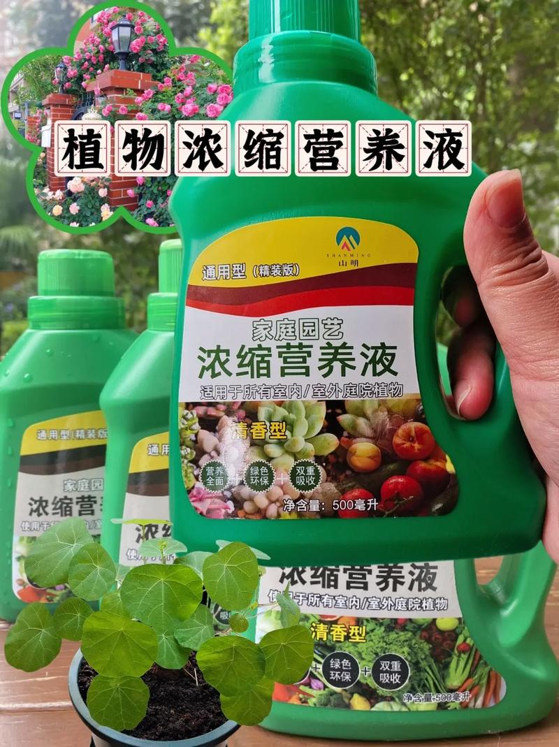 自制水培观叶植物营养液怎么配?-第3张图片-吾爱花网 自制水培观叶植物营养液怎么配?-第3张图片-吾爱花网