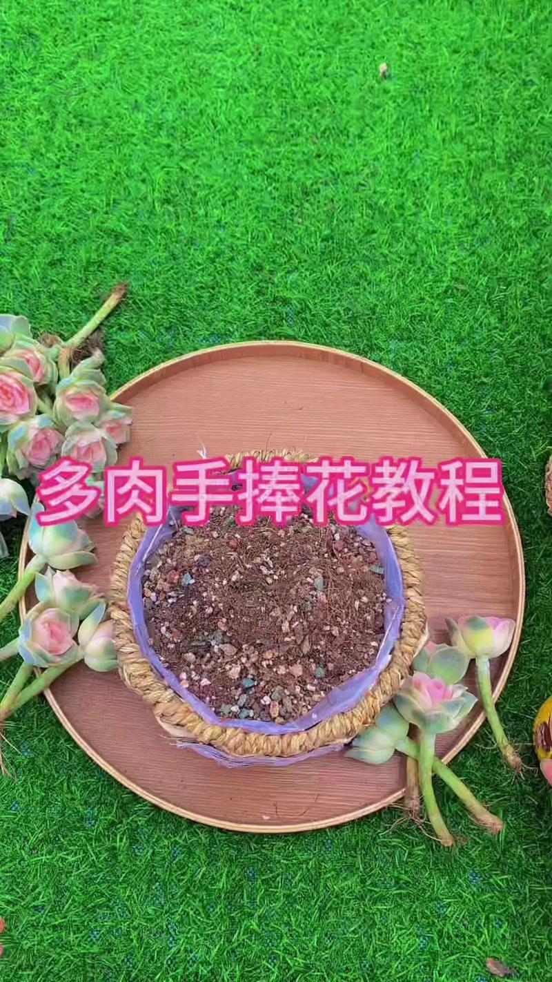 多肉造型怎么做才好看?-第2张图片-吾爱花网 多肉造型怎么做才好看?-第2张图片-吾爱花网