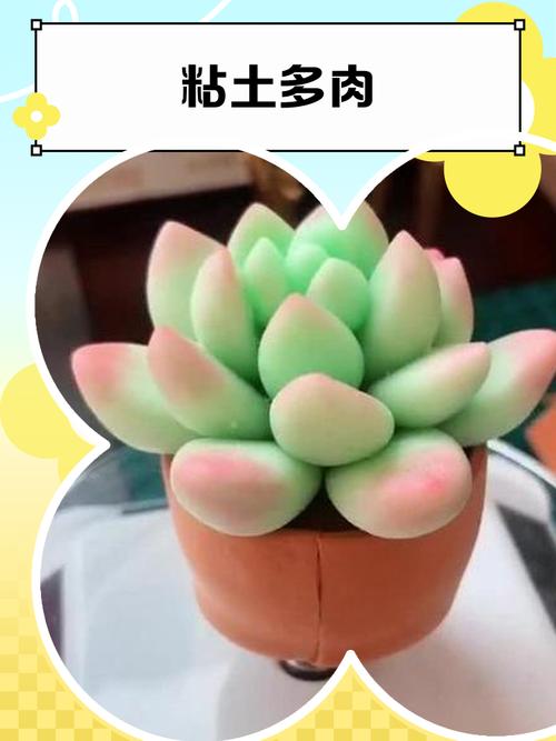 多肉造型怎么做才好看?-第1张图片-吾爱花网 多肉造型怎么做才好看?-第1张图片-吾爱花网