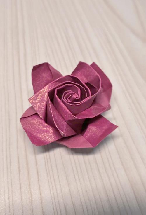 100元折玫瑰花盆栽能养活吗?-第1张图片-吾爱花网 100元折玫瑰花盆栽能养活吗?-第1张图片-吾爱花网