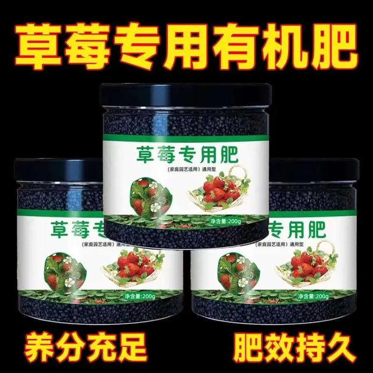盆栽草莓复合肥撒多少合适?-第3张图片-吾爱花网 盆栽草莓复合肥撒多少合适?-第3张图片-吾爱花网