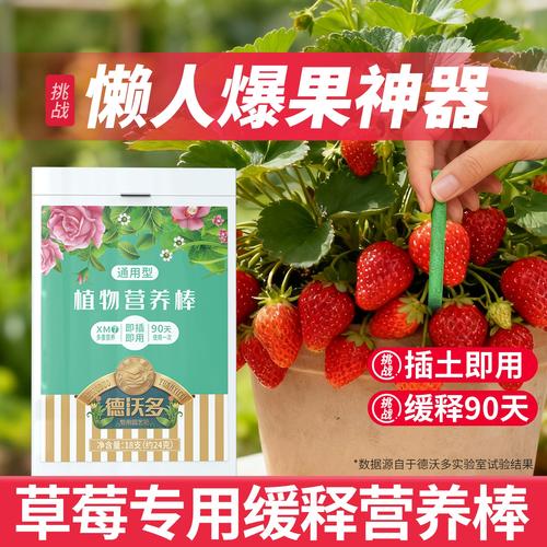 盆栽草莓复合肥撒多少合适?-第2张图片-吾爱花网 盆栽草莓复合肥撒多少合适?-第2张图片-吾爱花网
