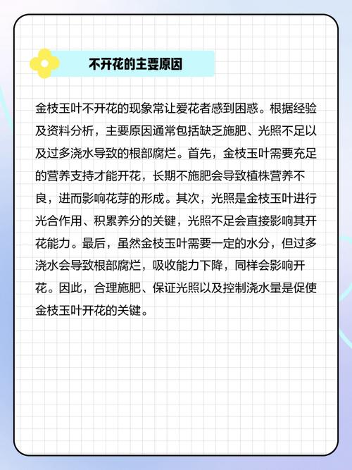 盆栽花不开花是何原因？-第2张图片-吾爱花网