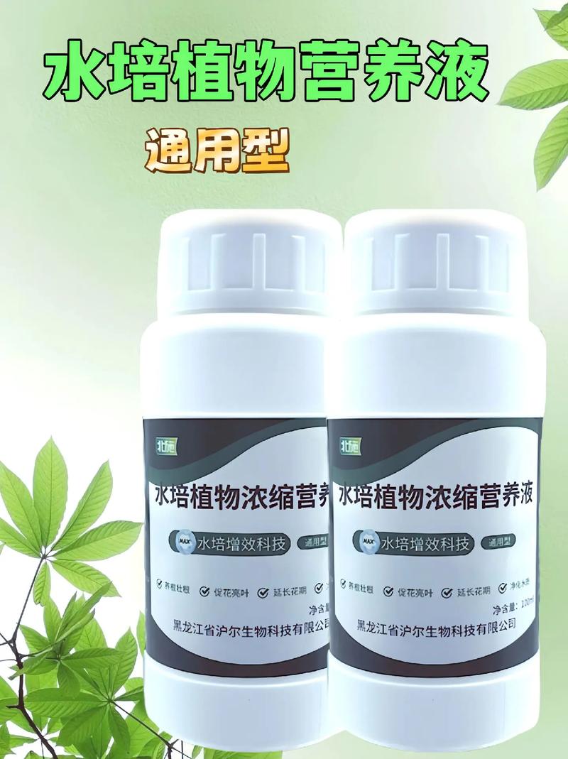 自制水培营养液怎么配才有效?-第1张图片-吾爱花网 自制水培营养液怎么配才有效?-第1张图片-吾爱花网