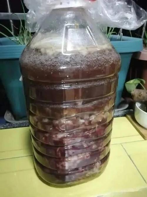 自制水培营养液怎么配才有效?-第3张图片-吾爱花网 自制水培营养液怎么配才有效?-第3张图片-吾爱花网