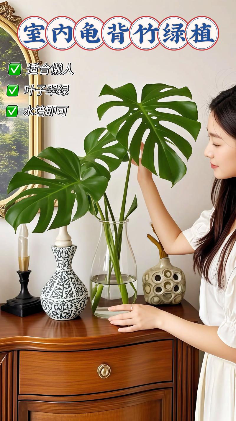 冬天好养的水培植物有哪些？-第3张图片-吾爱花网