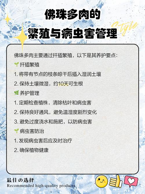 多肉佛珠水多了怎么办？-第1张图片-吾爱花网