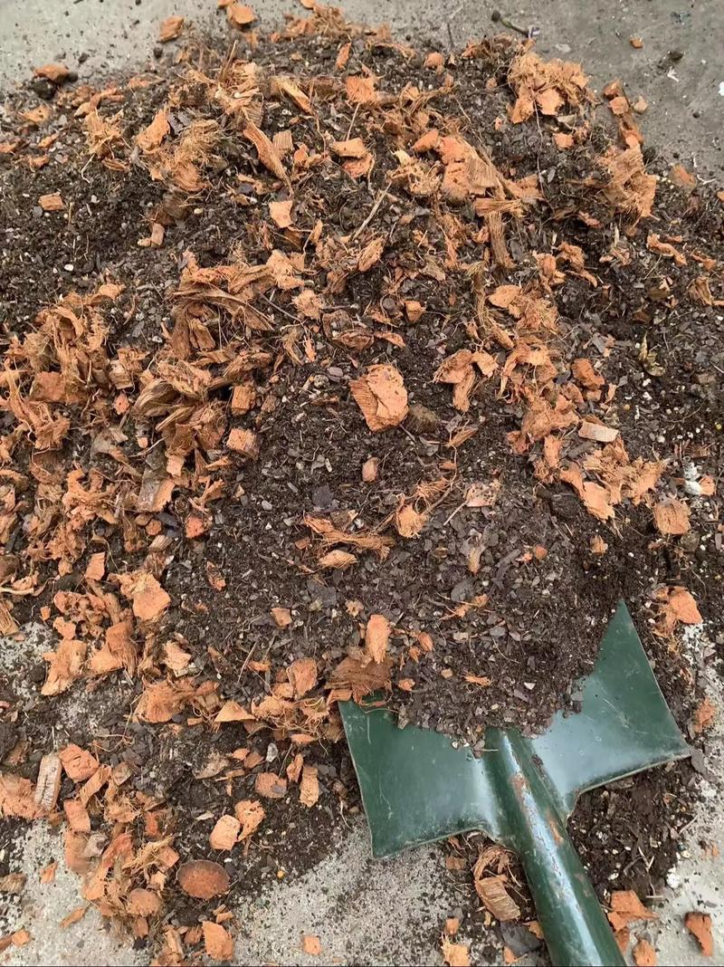 盆栽树皮干了是否还能继续使用?-第3张图片-吾爱花网 盆栽树皮干了是否还能继续使用?-第3张图片-吾爱花网