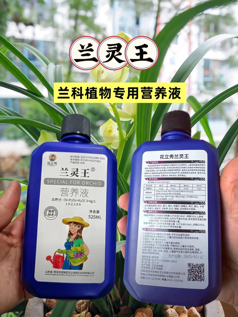 水培营养液能浇兰花吗?-第1张图片-吾爱花网 水培营养液能浇兰花吗?-第1张图片-吾爱花网