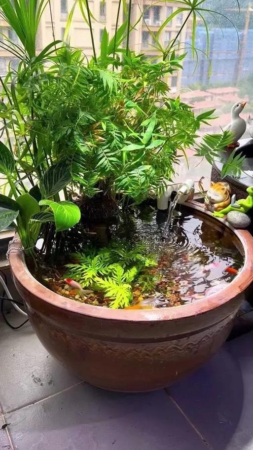 养鱼水能直接水培植物吗?-第1张图片-吾爱花网 养鱼水能直接水培植物吗?-第1张图片-吾爱花网