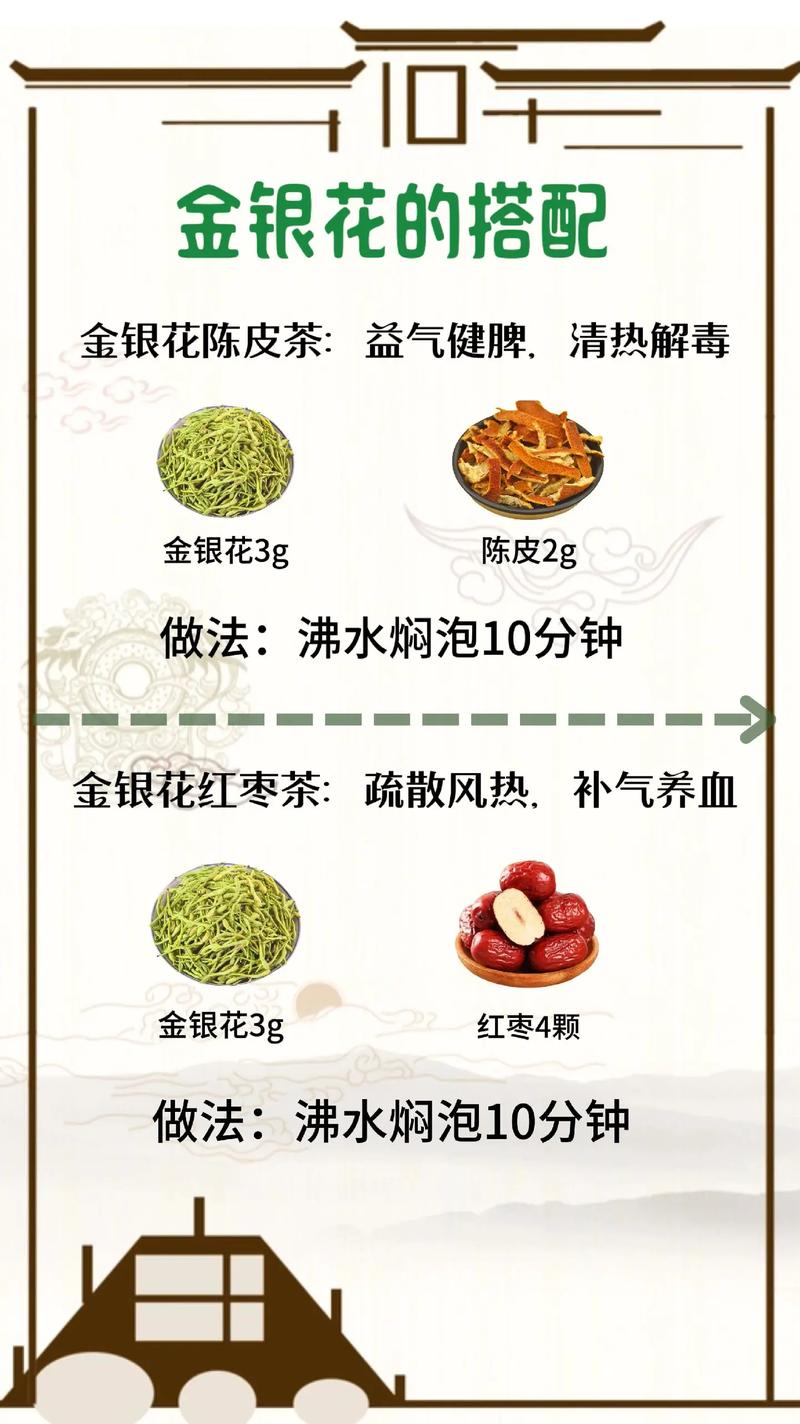 哪种盆栽金银花适合泡茶?-第3张图片-吾爱花网 哪种盆栽金银花适合泡茶?-第3张图片-吾爱花网