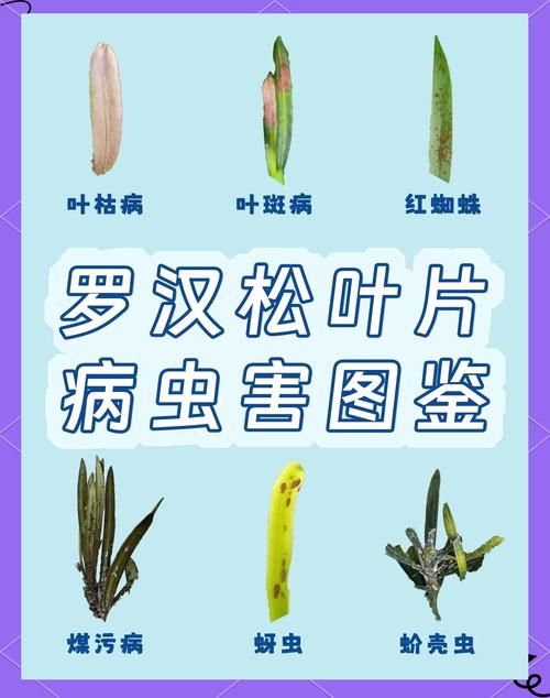 哪些盆栽最易遭虫害侵袭?-第1张图片-吾爱花网 哪些盆栽最易遭虫害侵袭?-第1张图片-吾爱花网