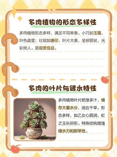 多肉劳伦斯和黄桃怎么区分？-第3张图片-吾爱花网