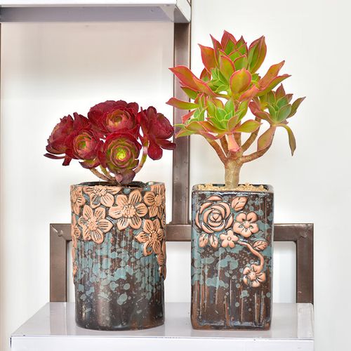 玟瑰法师多肉繁殖方法有哪些？-第3张图片-吾爱花网