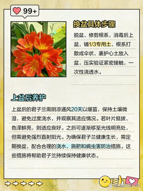 盆栽花卉何时该搬入室内？-第2张图片-吾爱花网