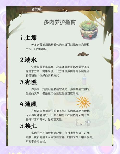 春季多肉施肥的最佳时间是什么时候？-第3张图片-吾爱花网