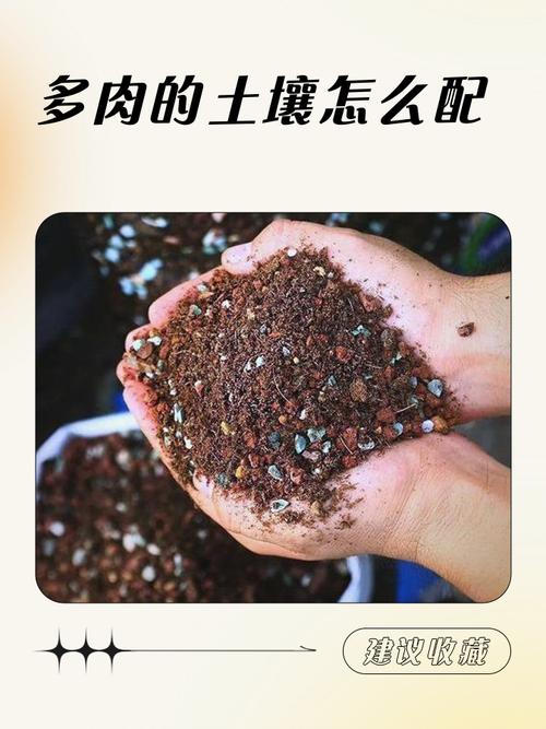 多肉配土怎么配？-第1张图片-吾爱花网