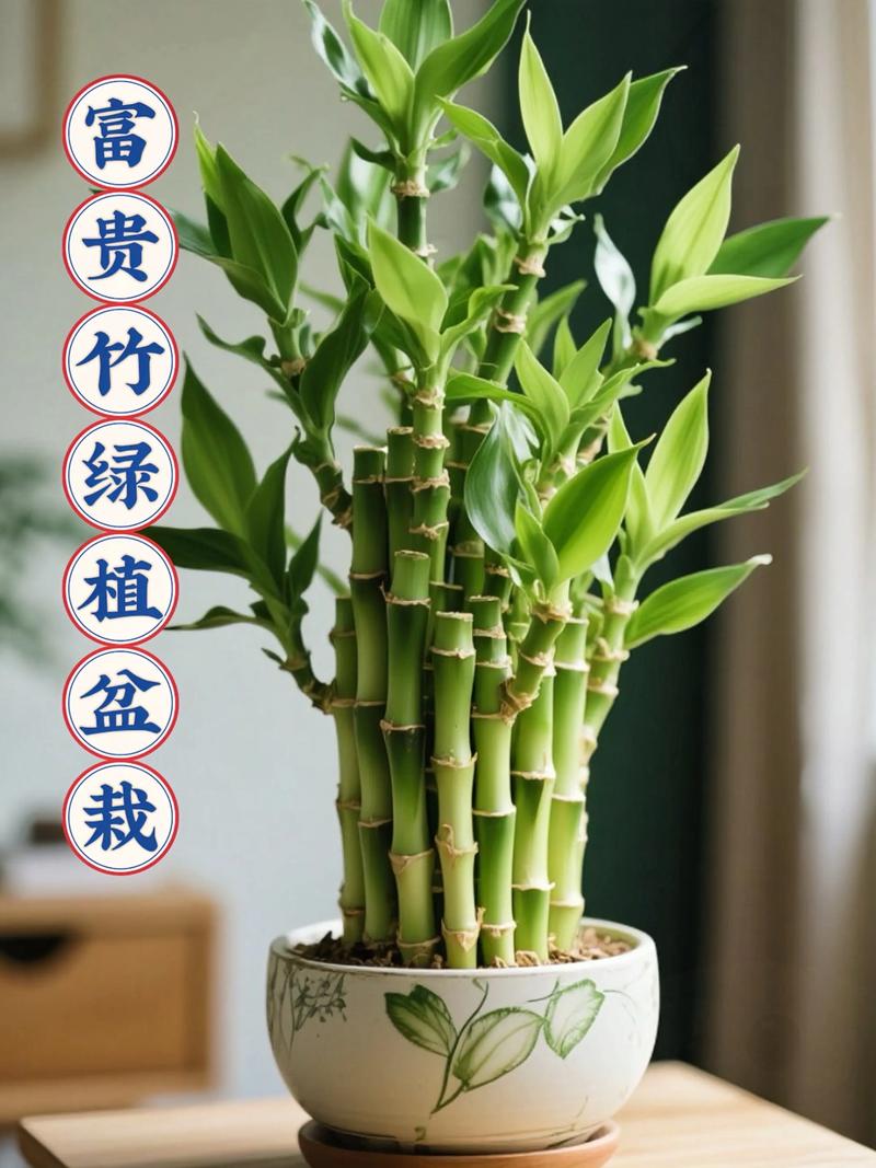 绿色盆栽用什么土最合适？-第1张图片-吾爱花网