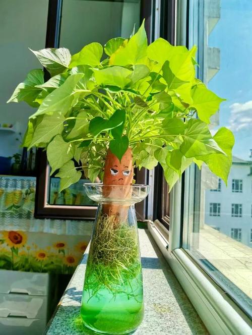 绿色盆栽用什么土最合适？-第3张图片-吾爱花网