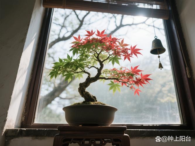 盆栽红枫施什么肥料好？-第1张图片-吾爱花网