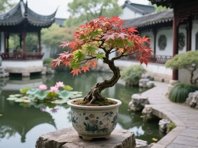 盆栽红枫施什么肥料好？-第3张图片-吾爱花网